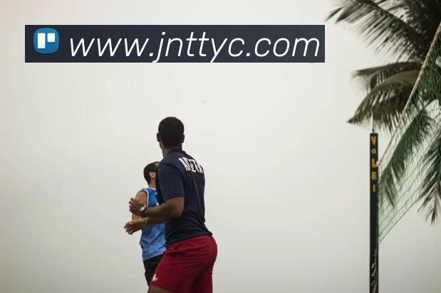 太阳城网站平台生态图